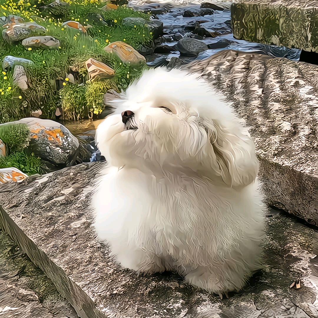 是小陈吖