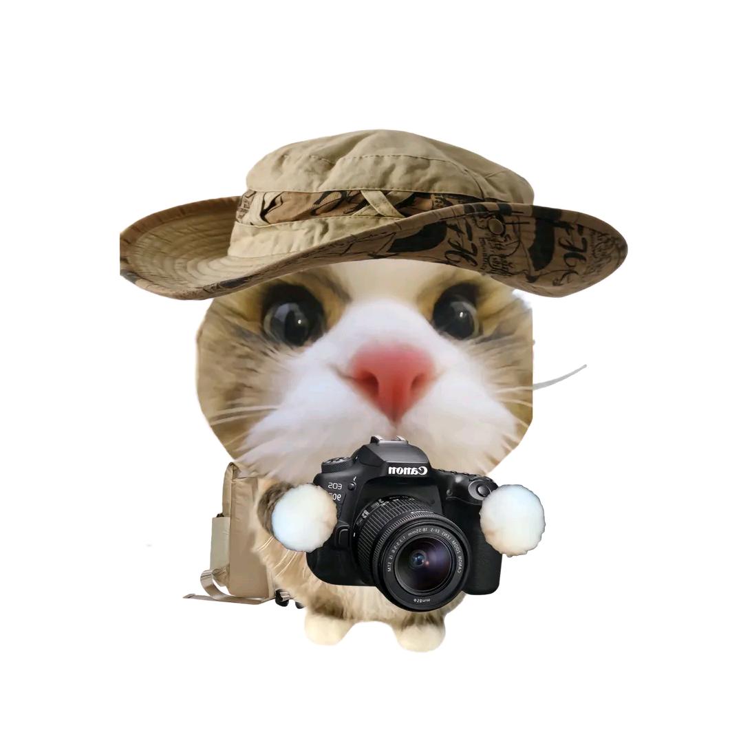 梦想成为大凶男磨狂抽80佬太嫰豚