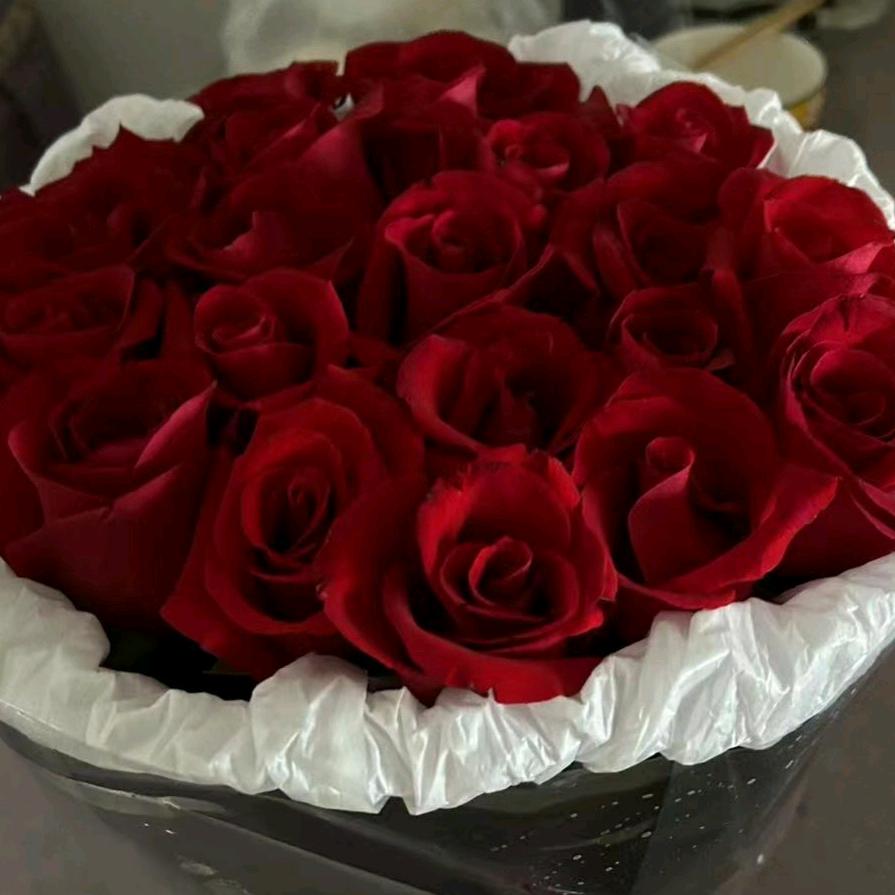 静心❤️❤️