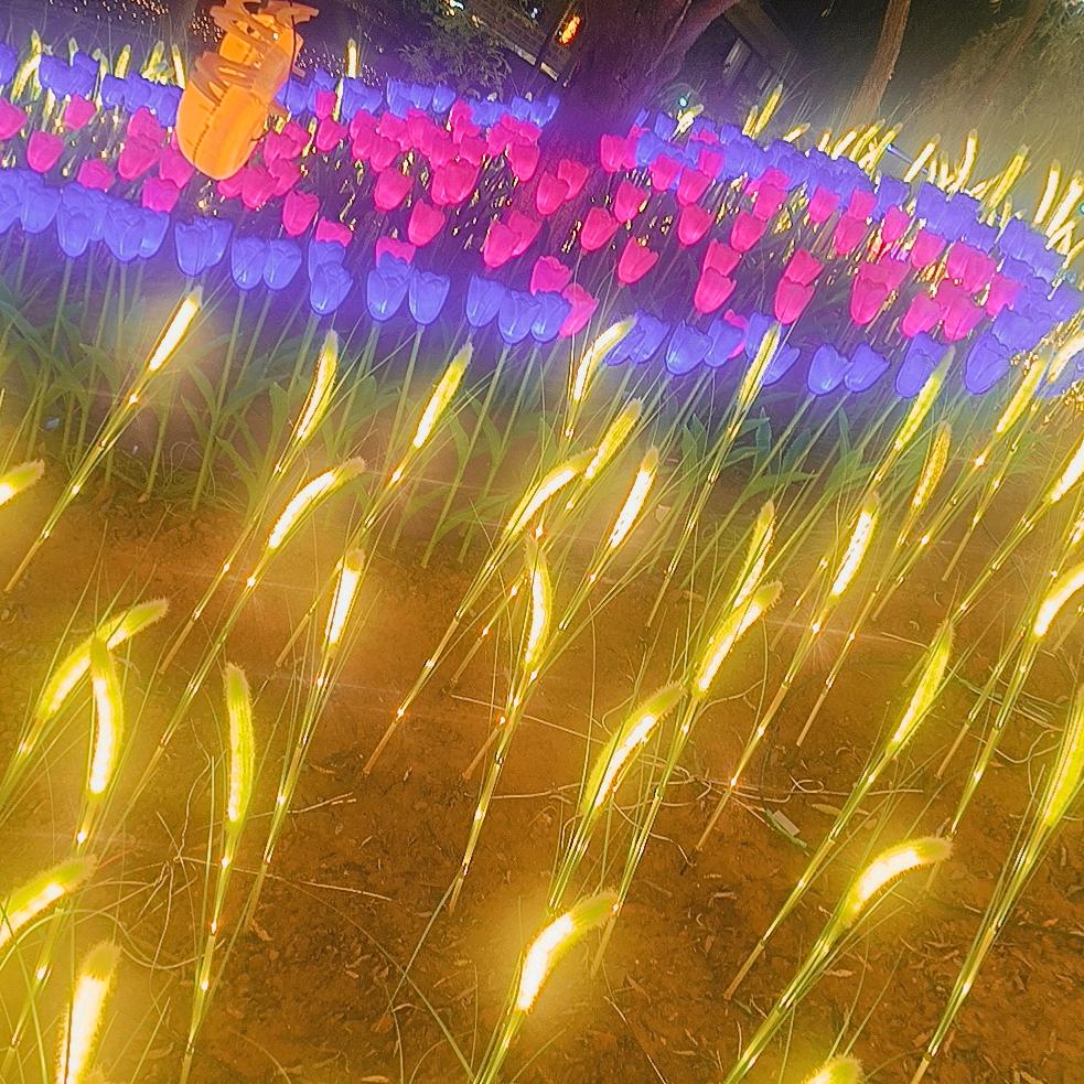 ℳ̶̶̶̶໌໌້ᮨ꧔ꦿ꯭最初*꯭꯭͡ꦿ꯭