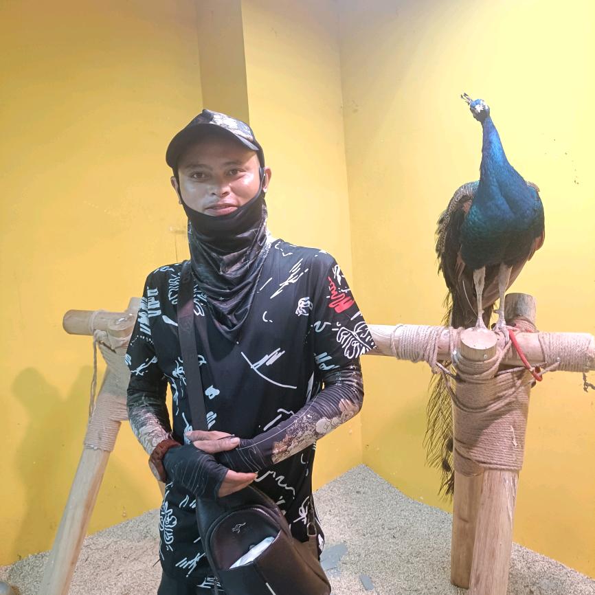 顺哥