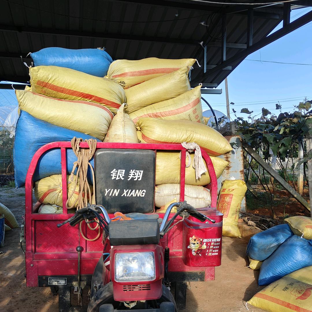 云南羊粪搬运工