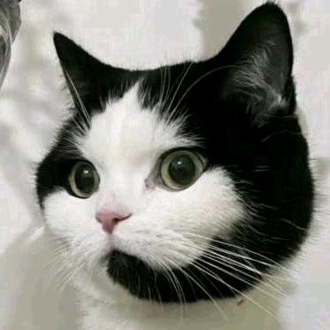 ⭐️⭐️⭐️⭐️⭐️