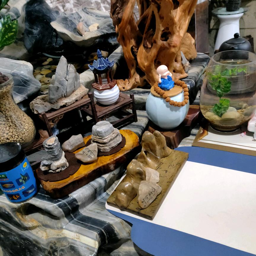 不装饰你的梦