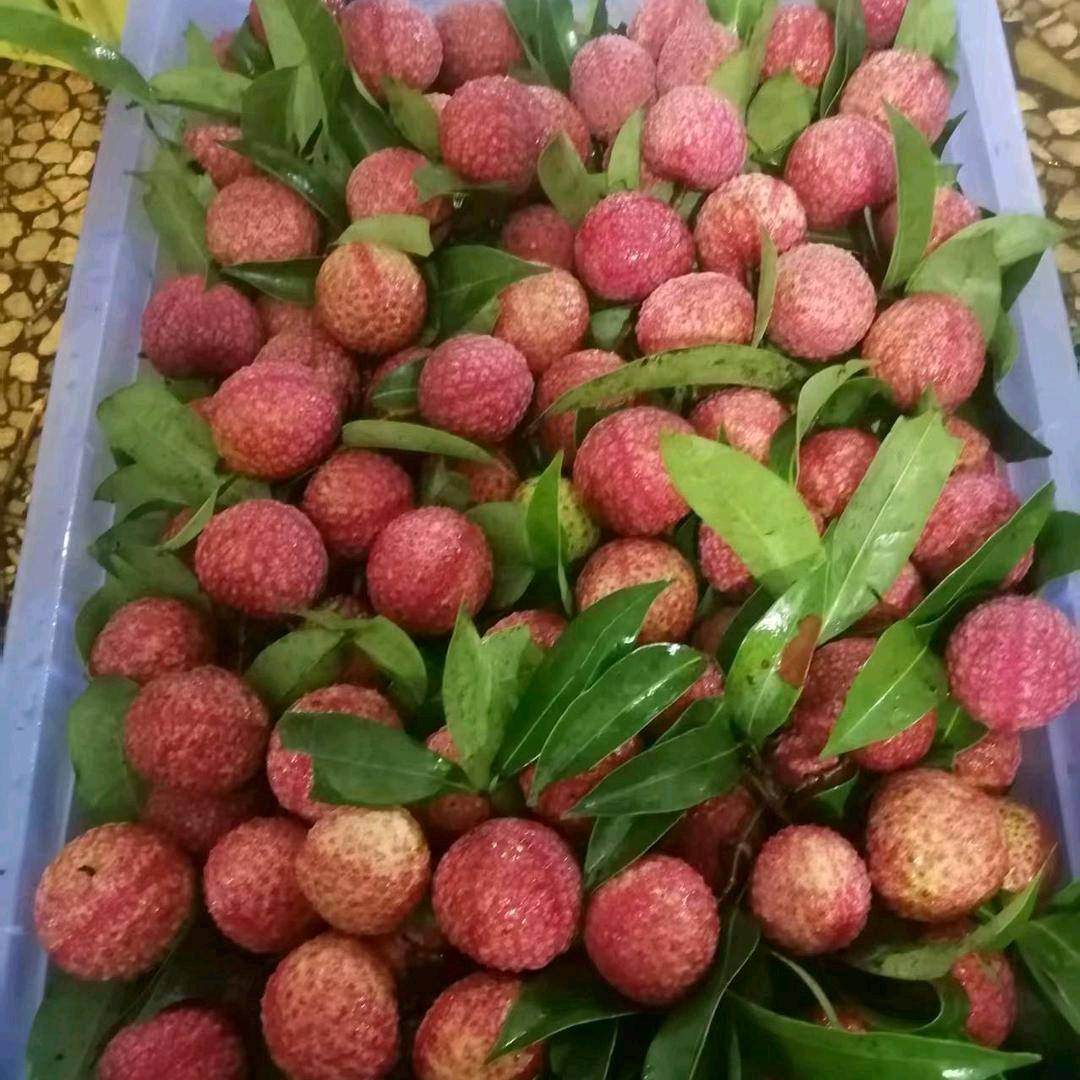 郑亚慧