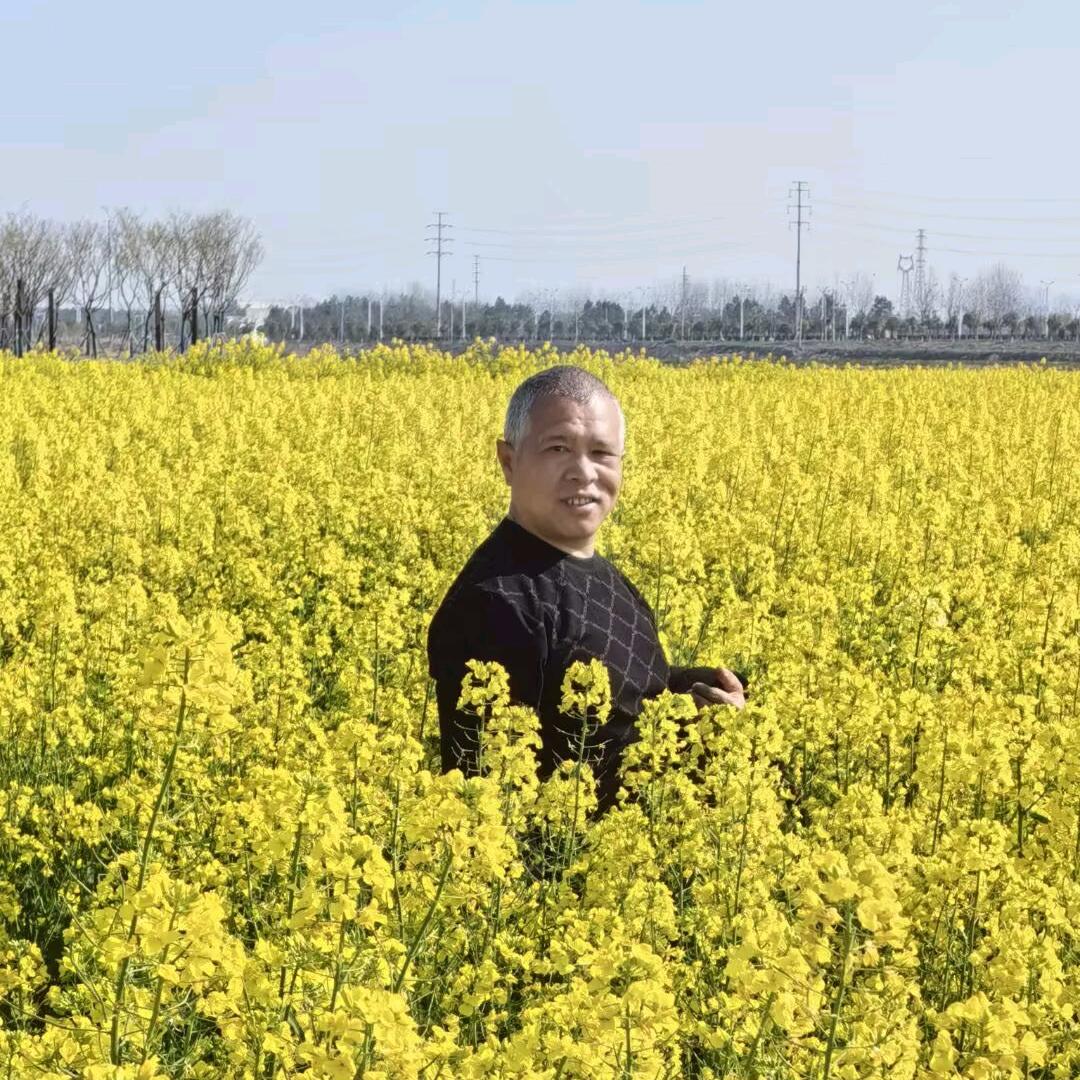 高隆正（山恒）