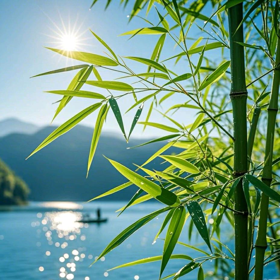 爱唱歌大叔