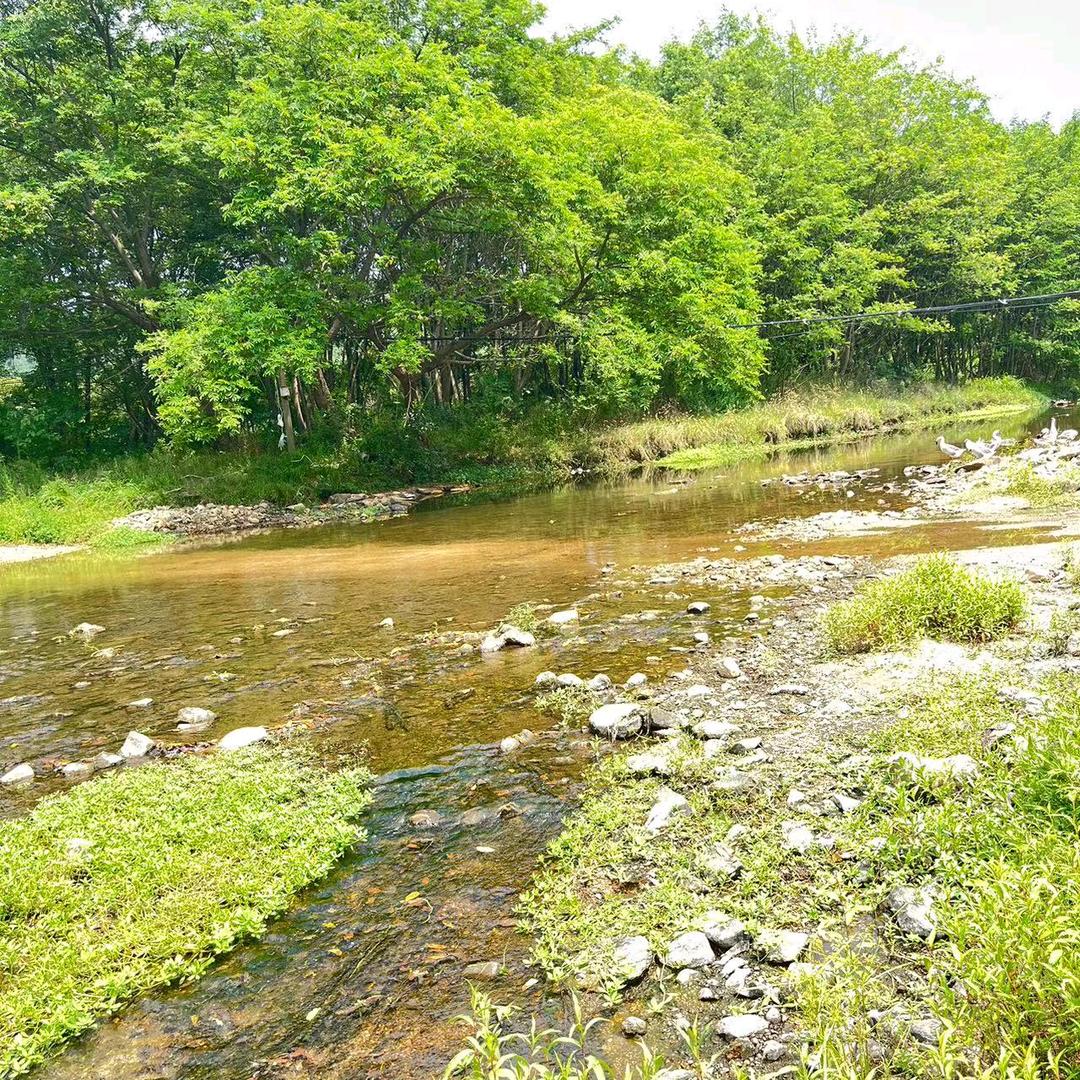 一帆风顺🇨🇳