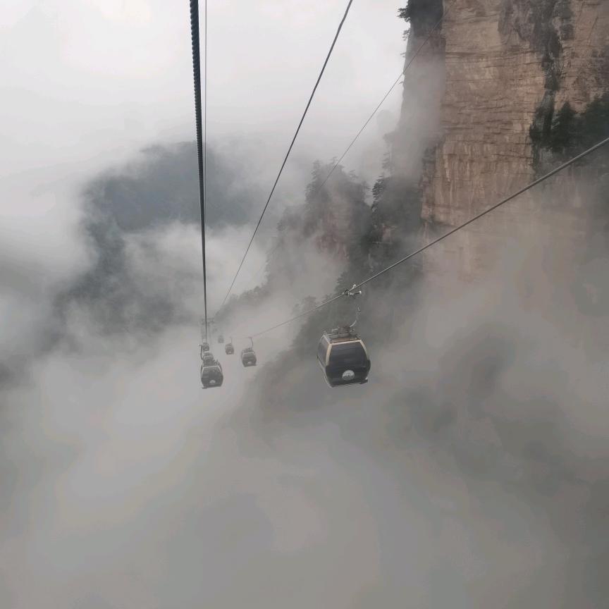 张家界私人订制导游小园