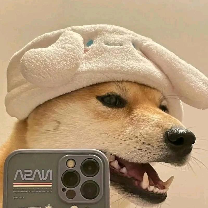 爿