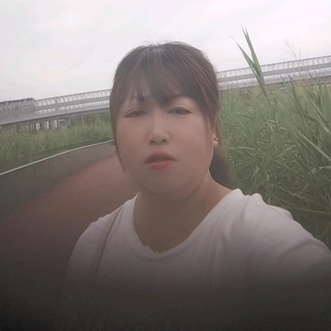 叮叮猫
