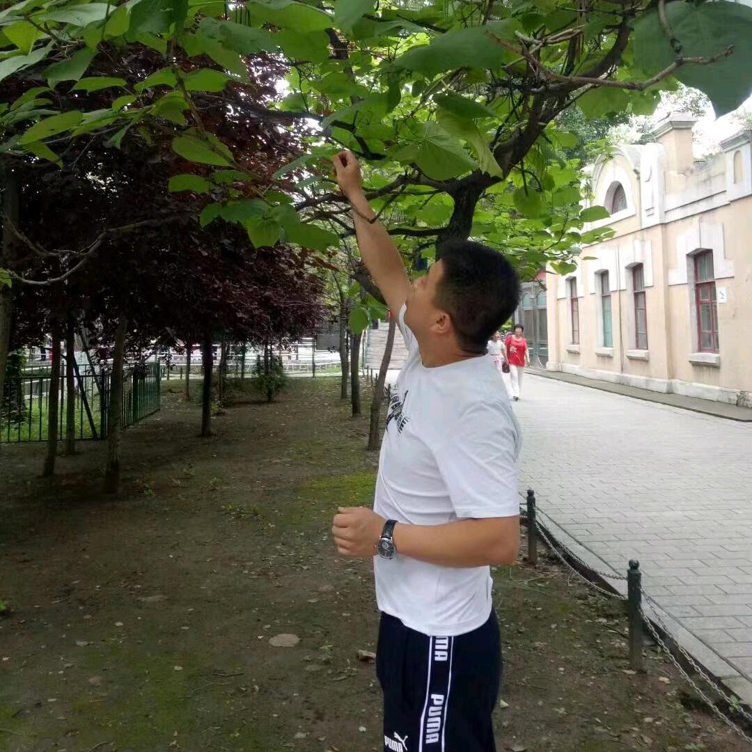 天津王记鹤岗小串