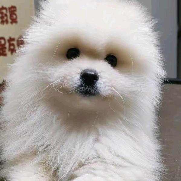 讷讷
