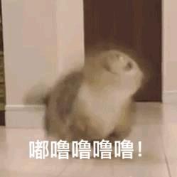 暴富好运的美少女★