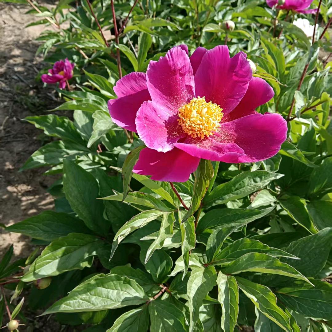 删除烦恼