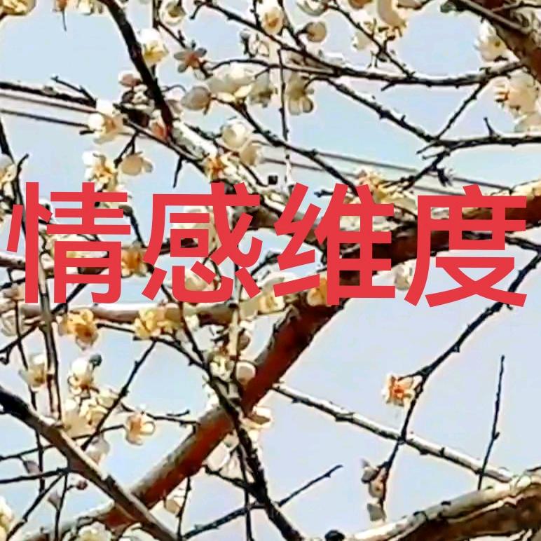 雪中蓝梅