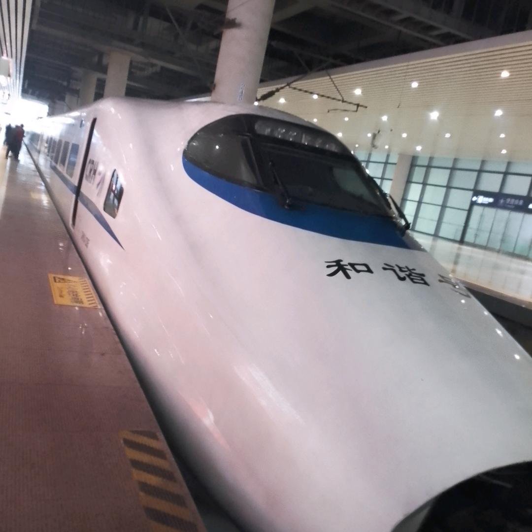 老农民🧑‍🌾