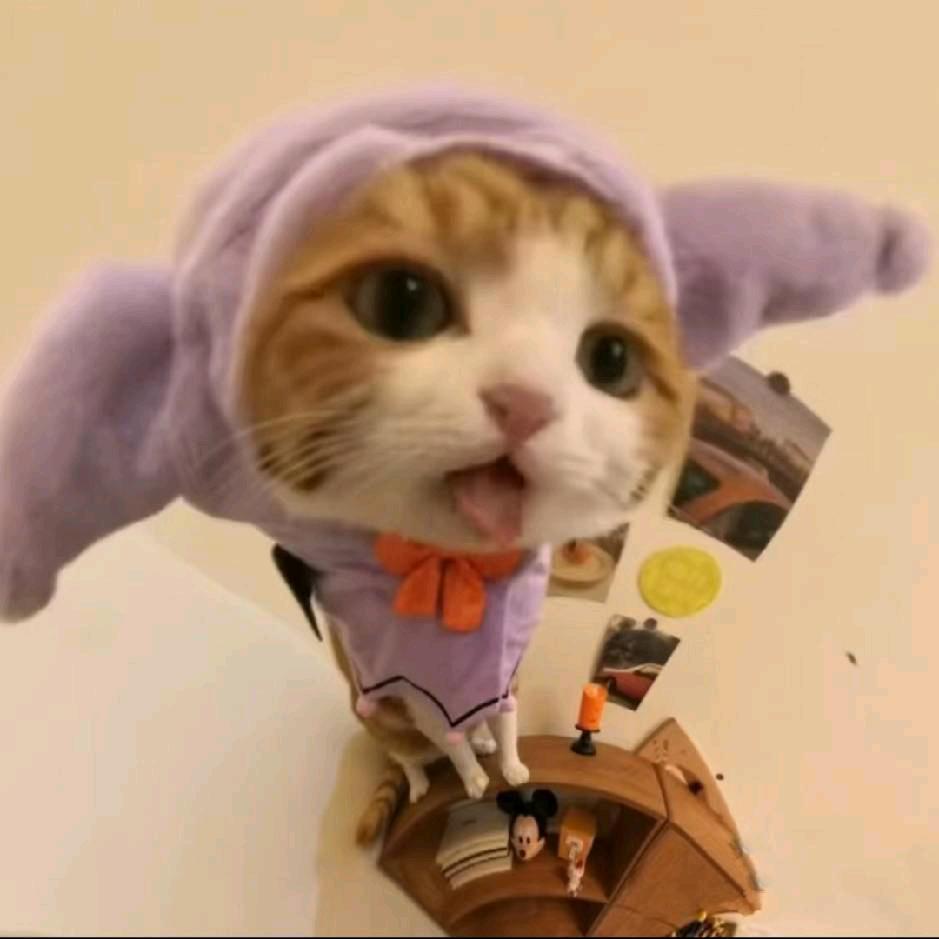 咕叽咕叽胖胖猪