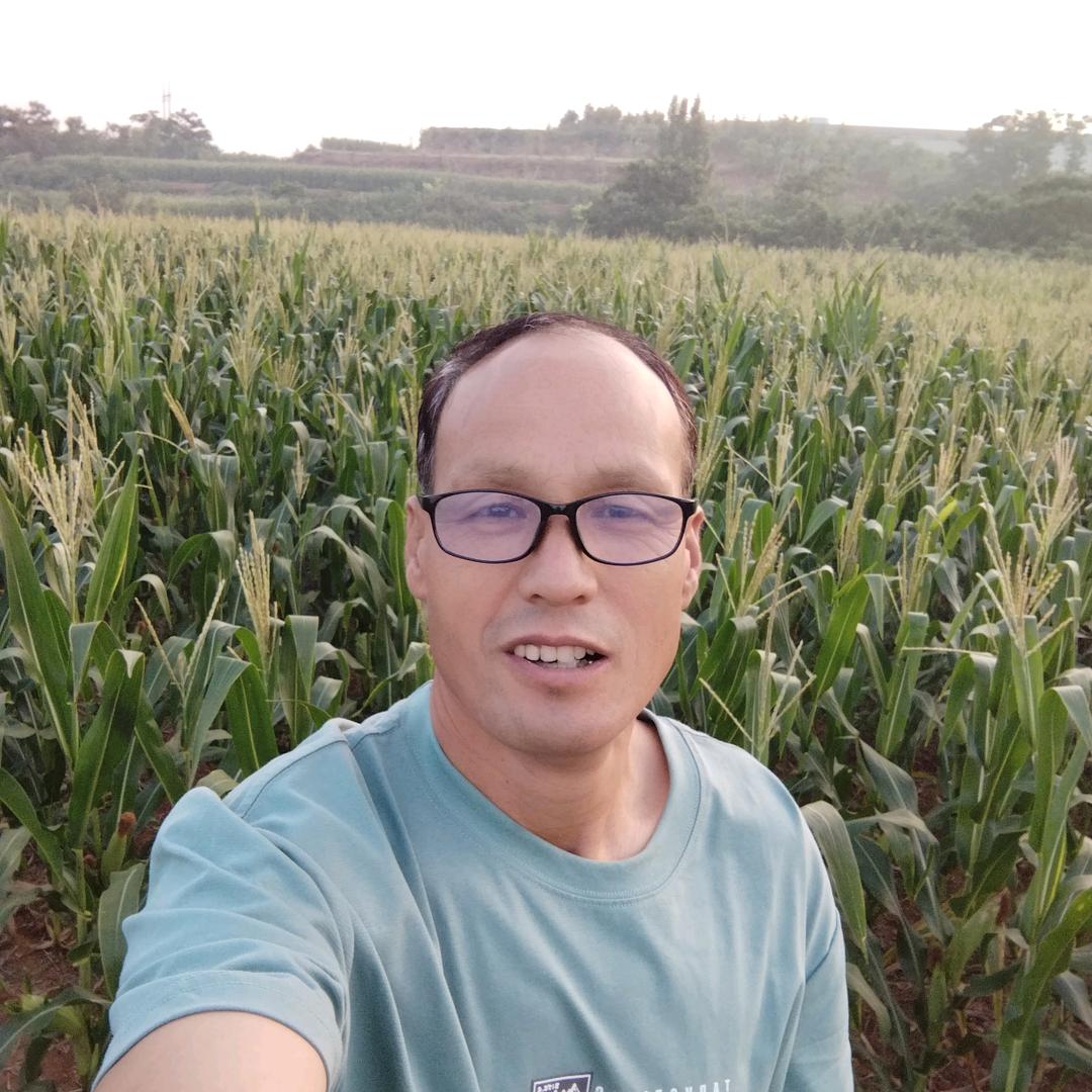 进哥【中午12:20】首播