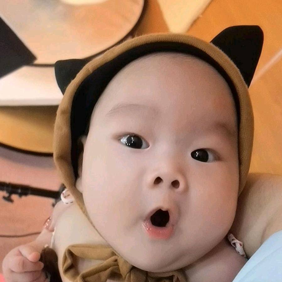 小鱼成长路