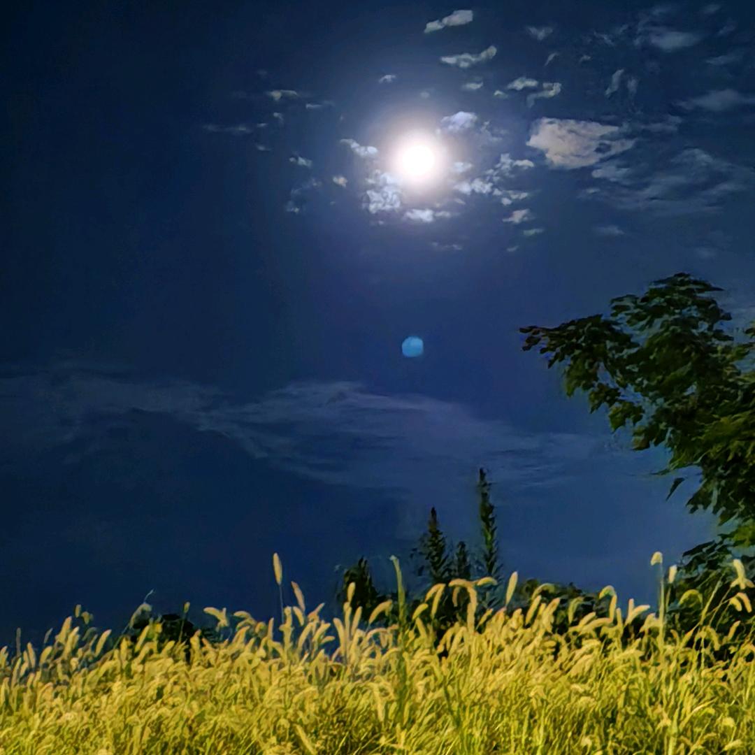 ღ᭄别了ꦿ꯭꯭那曾᭄经ོꦿ࿐