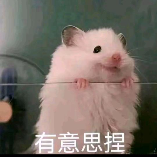 辻弌（三角洲行动）