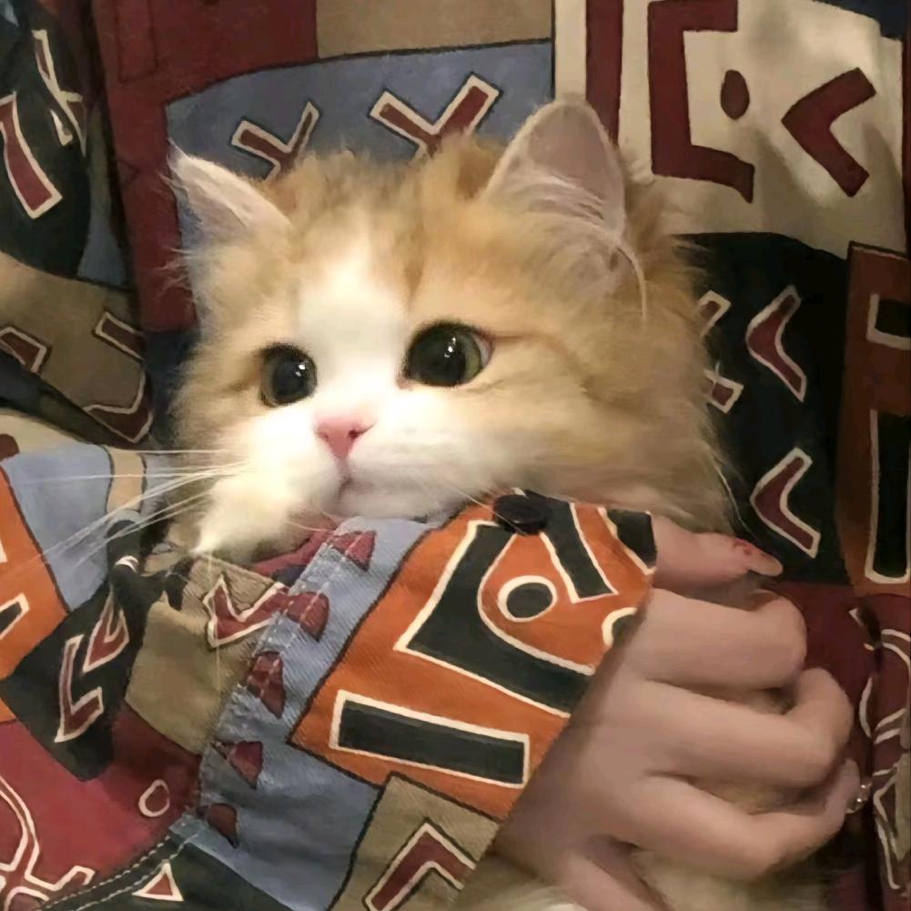 朝雾畔