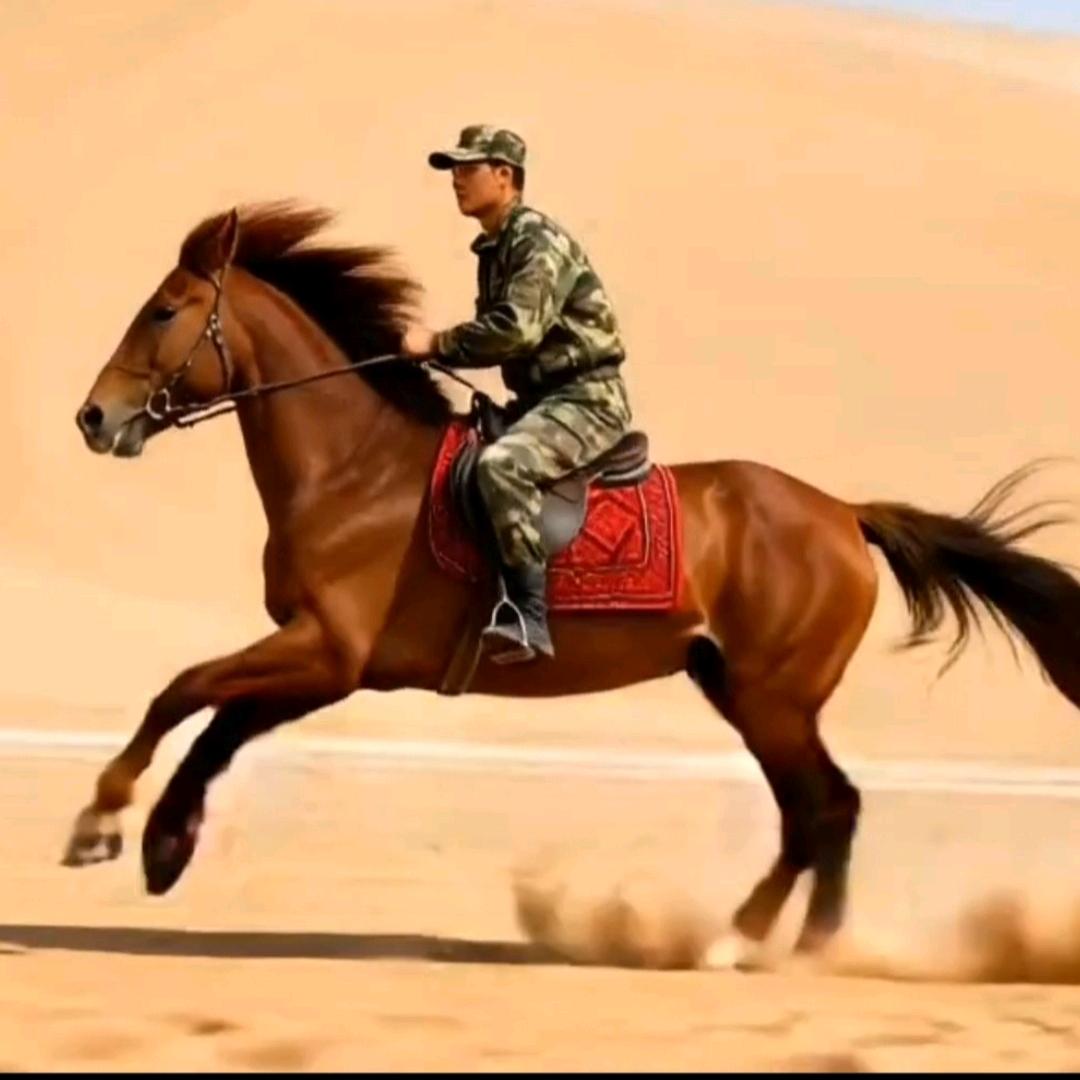 《陈蒙厚爱》🍁