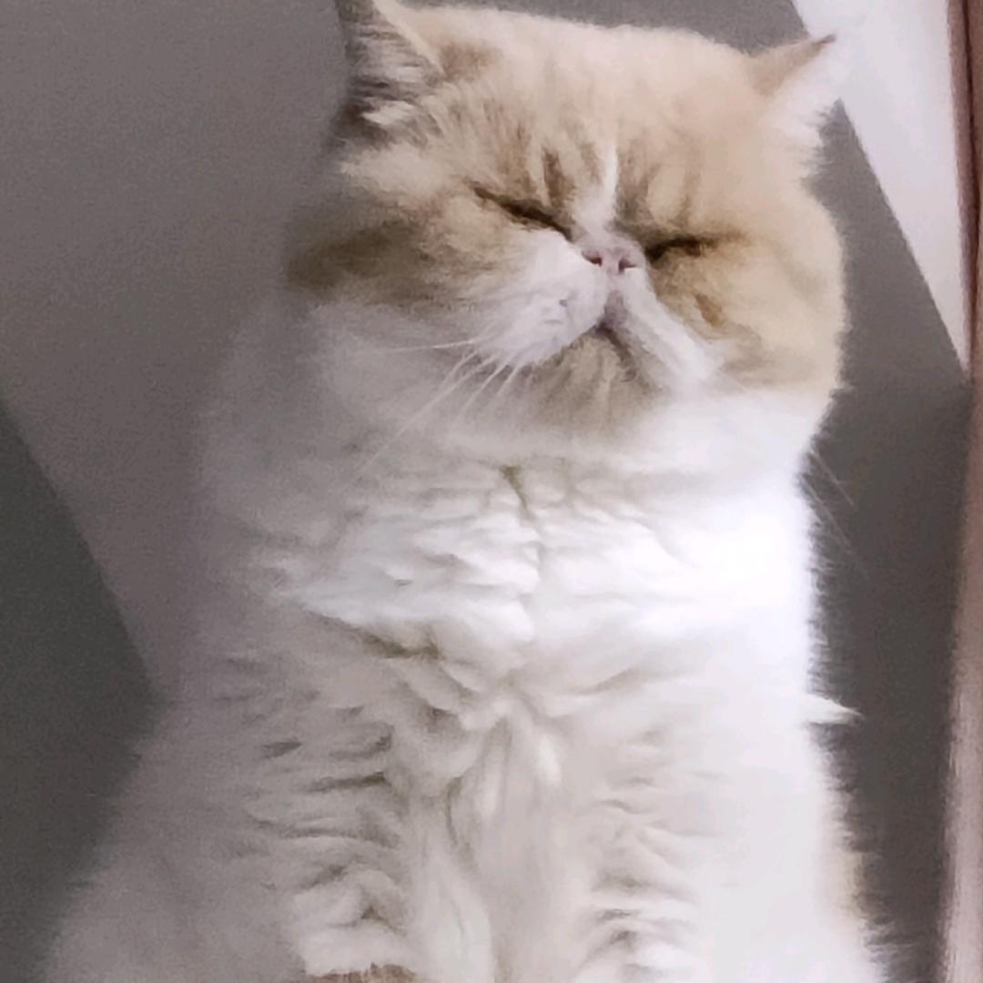 波波