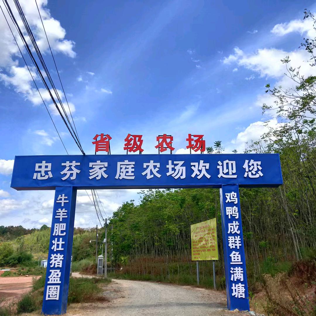 忠芬家庭农场