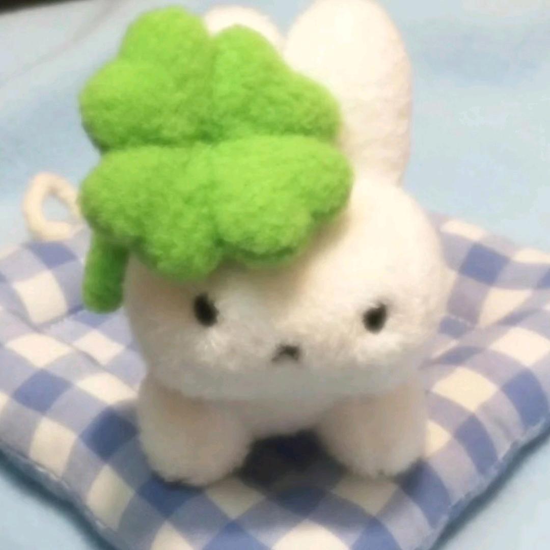 好奇心