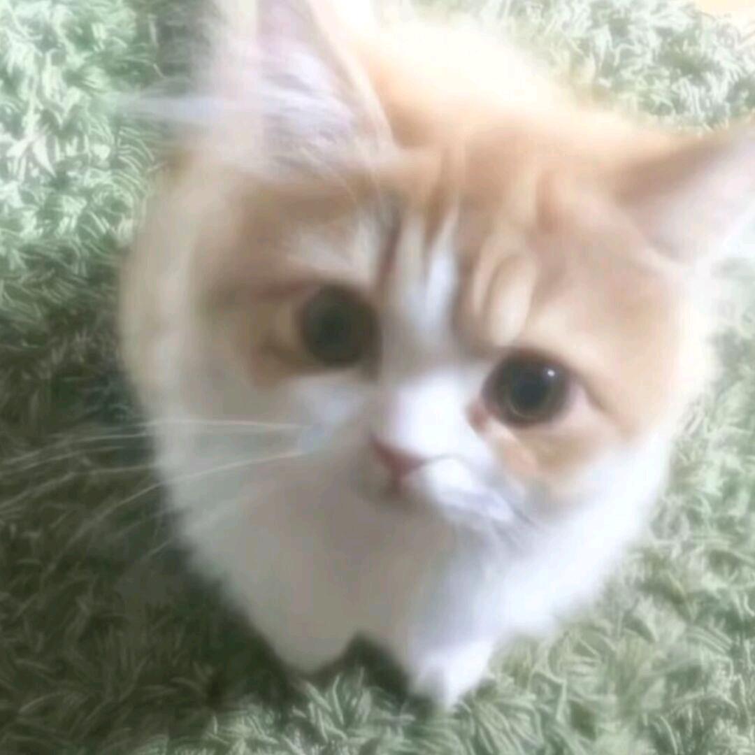 下小雨