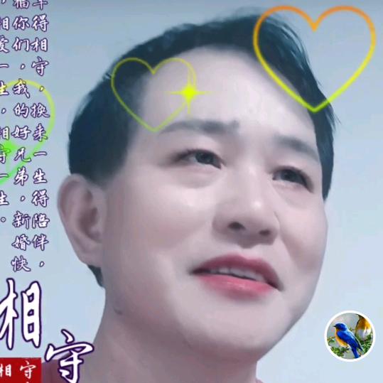胡鹏
