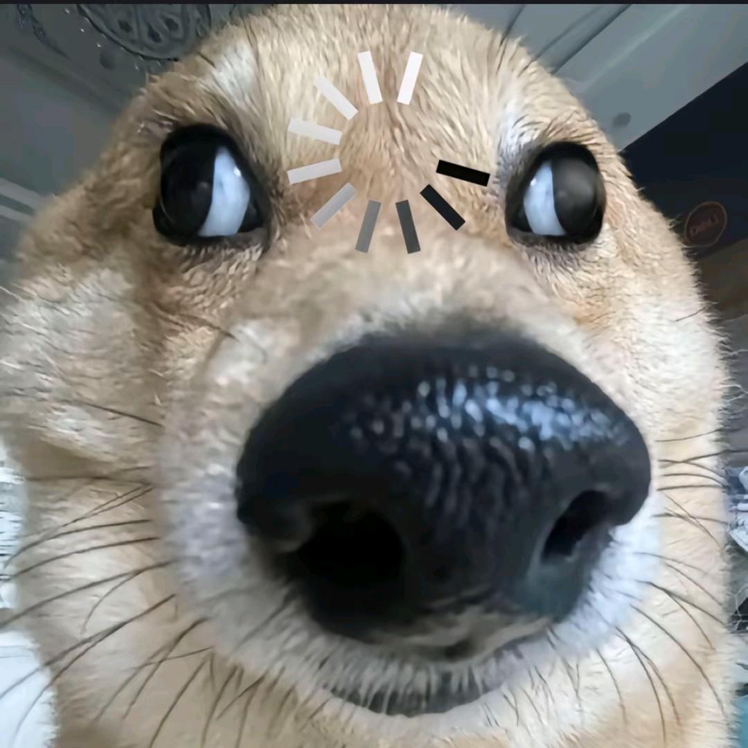 渔夫小帽