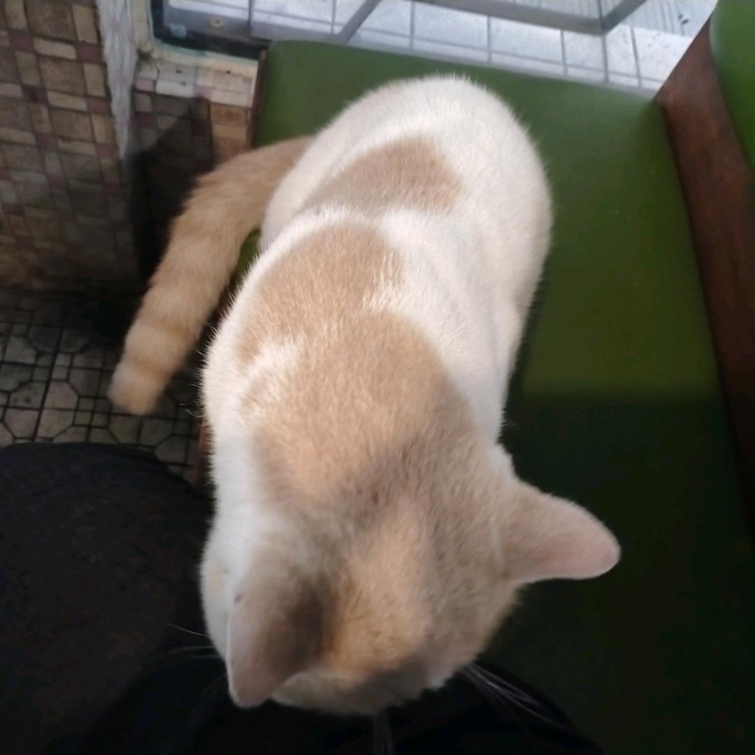 小 草