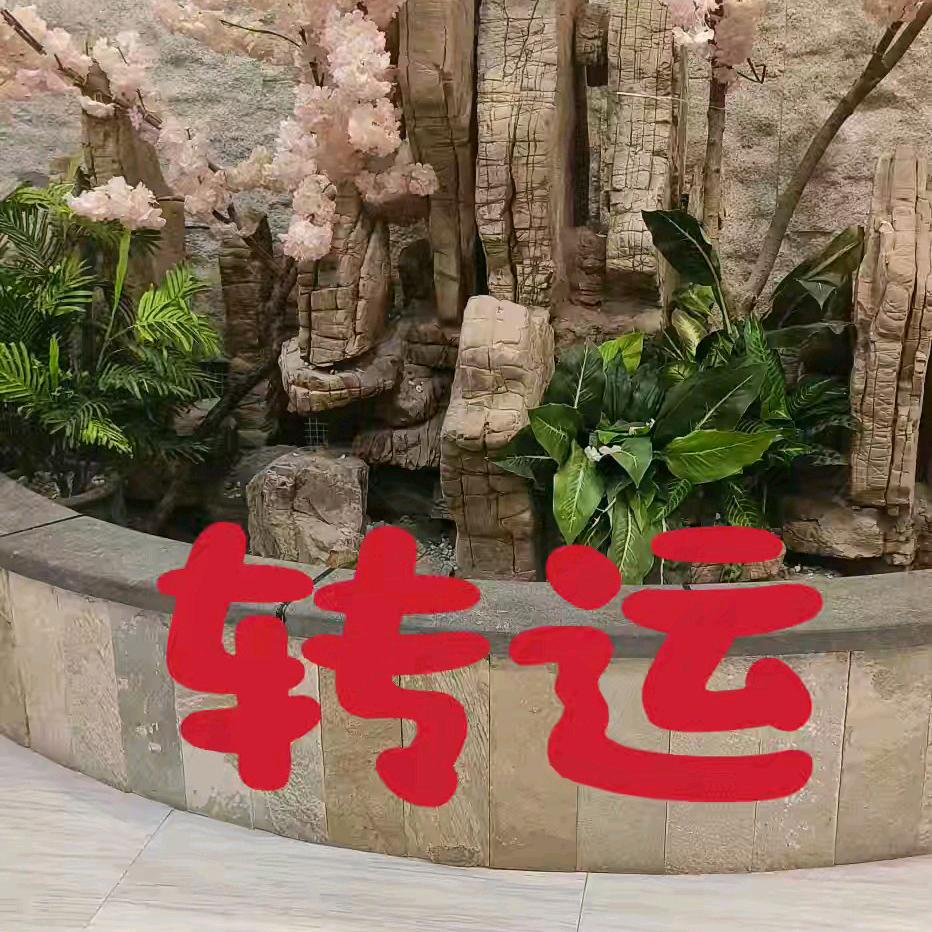 转运猪