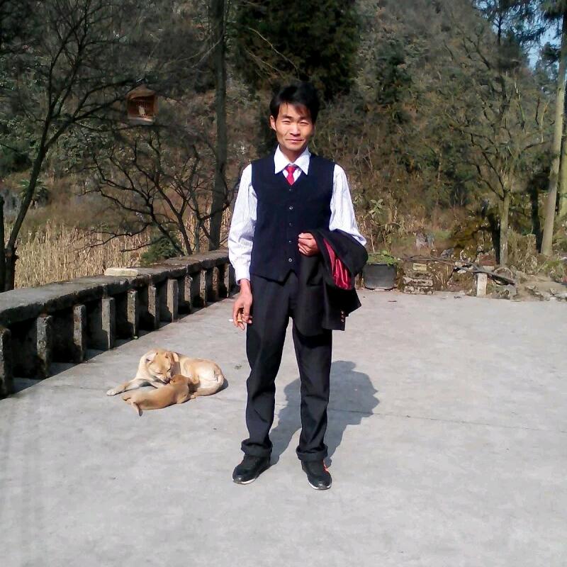 《酒醉的蝴蝶》囍