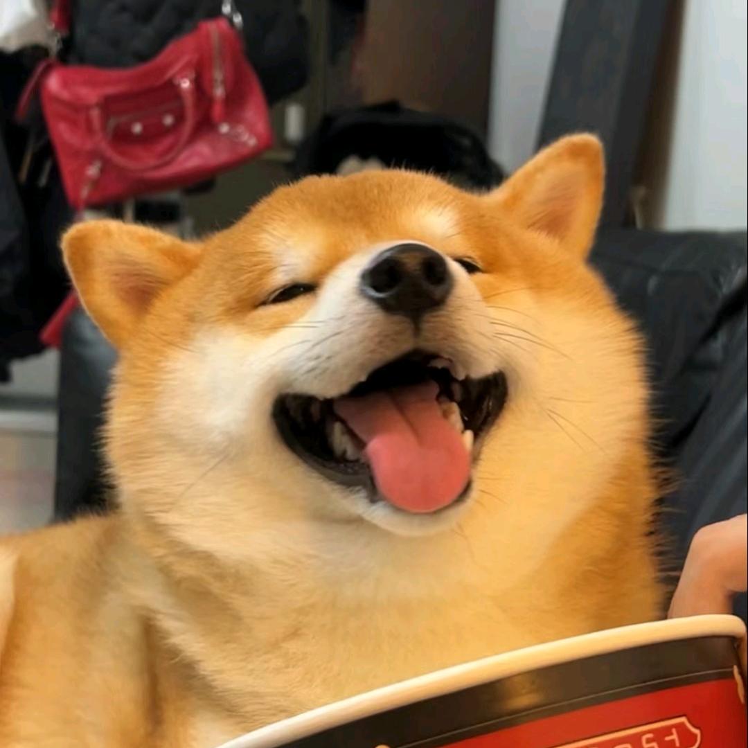 先吃饭吧.