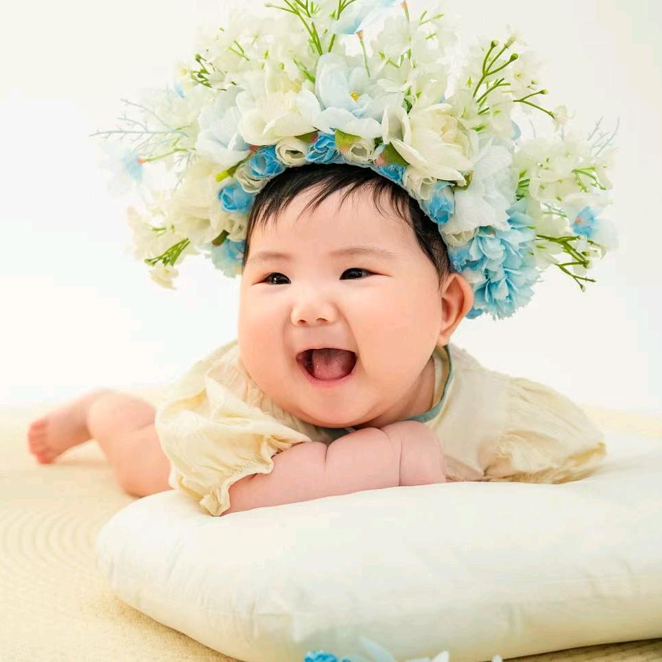 壹叶壹张