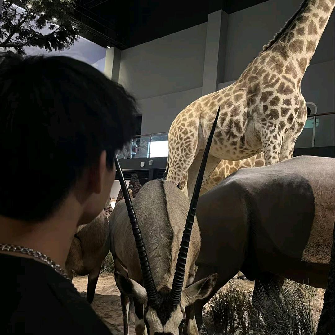 爱吃 爱练 爱猫狗（刷脂增肌中）