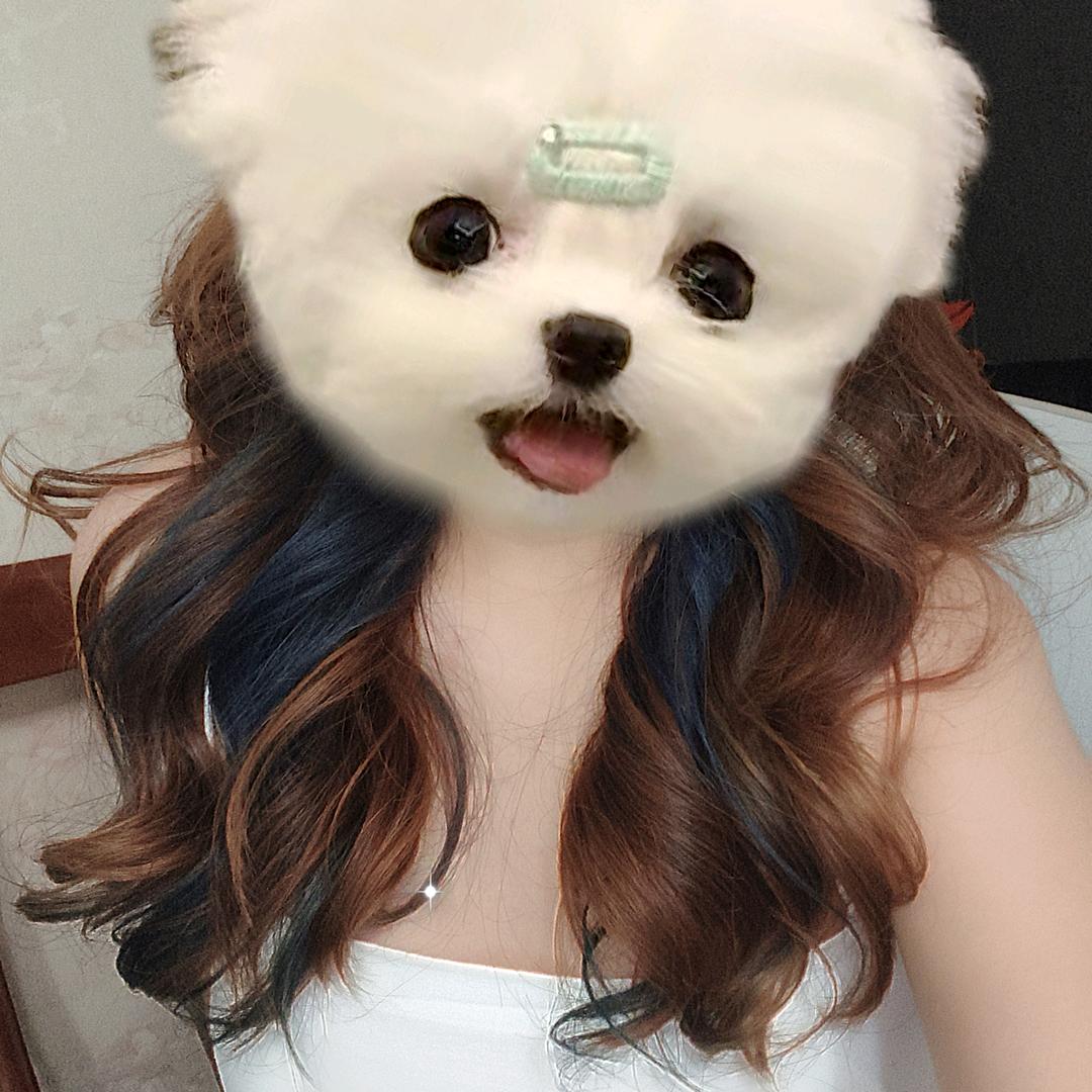 靖，