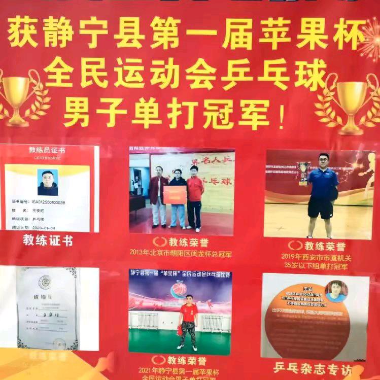 静宁金奥乒乓