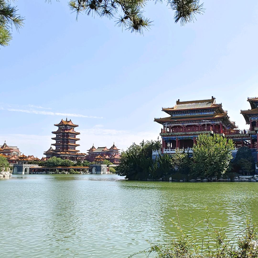 春风杨柳头像