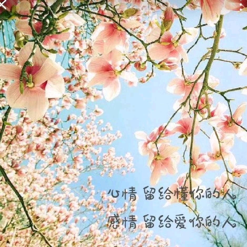 仰望幸福6902