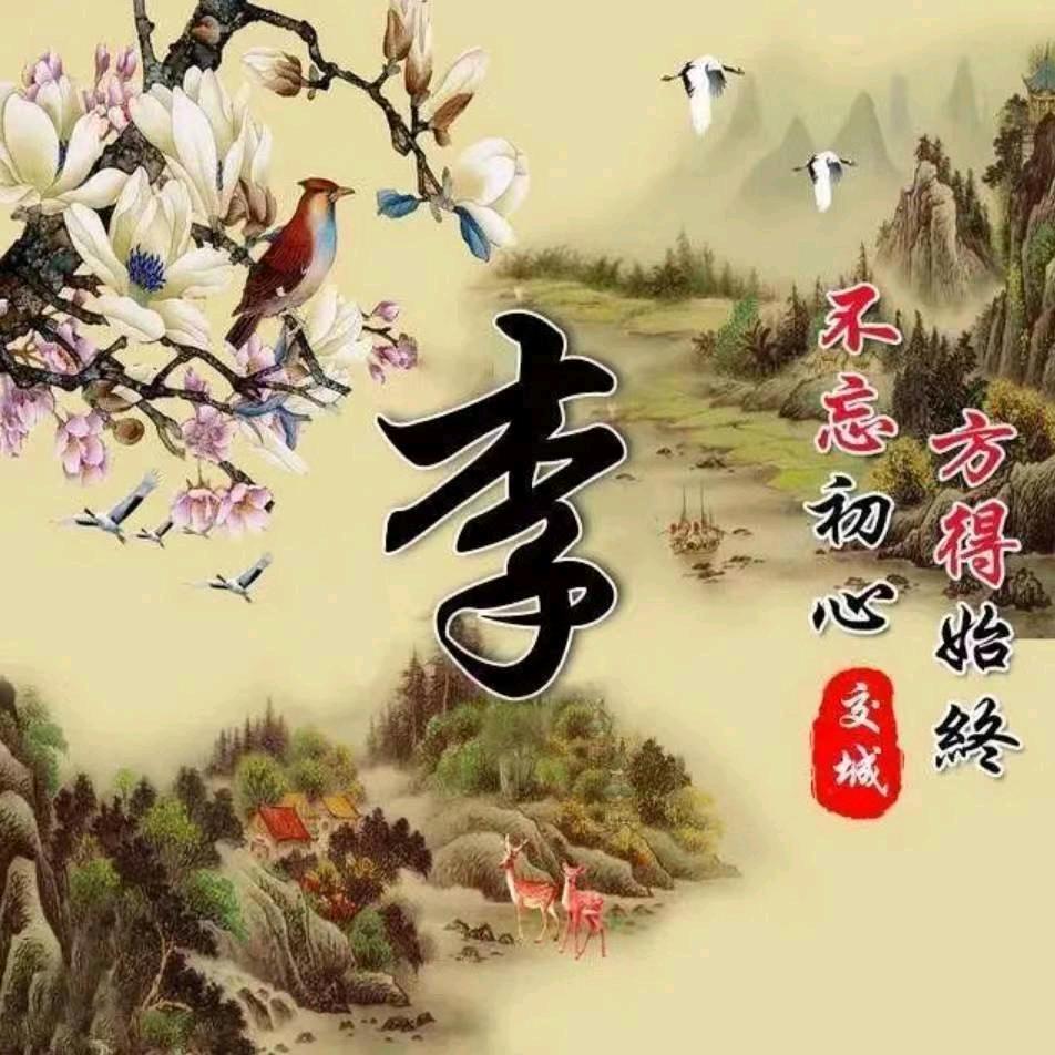 沉默的心