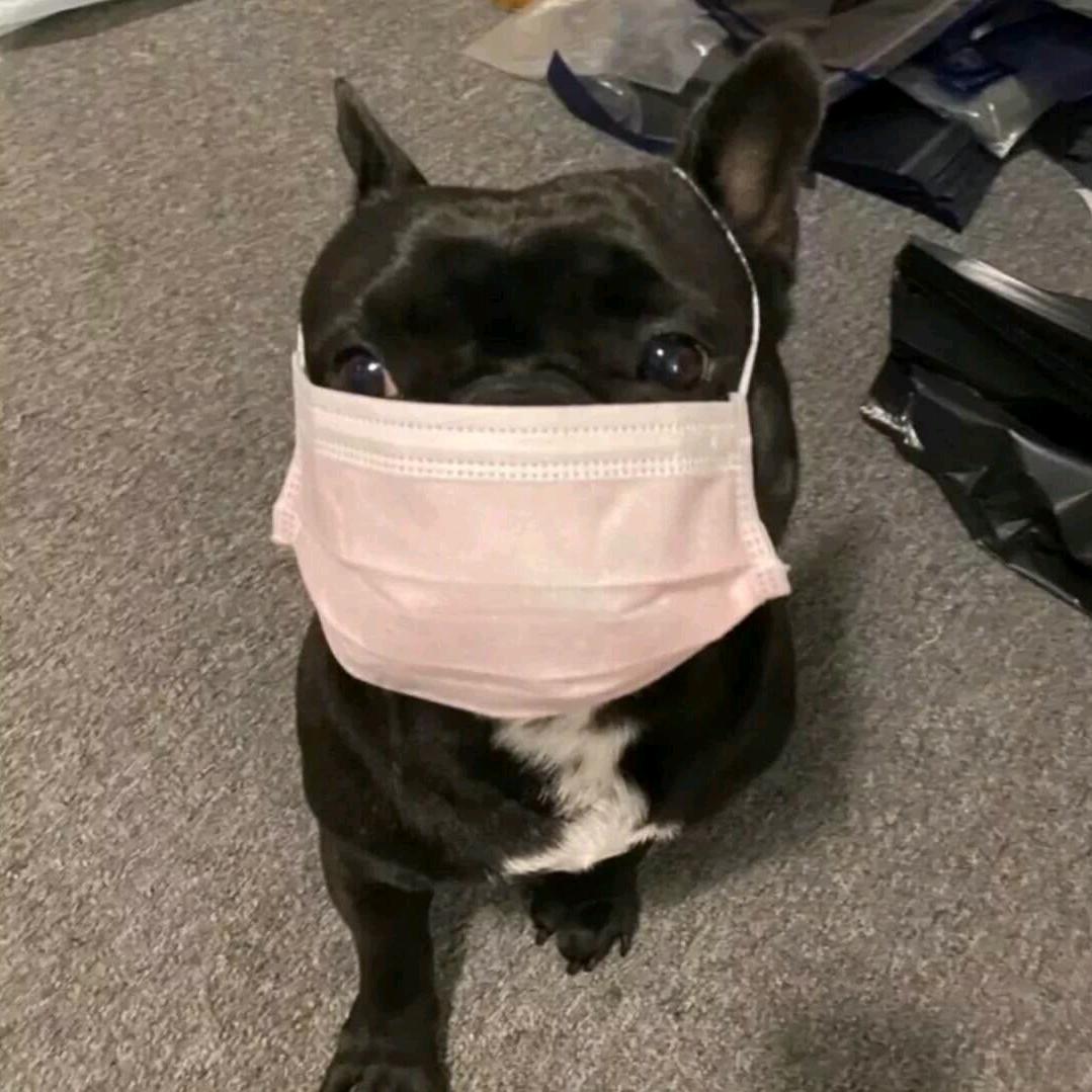 你的爱会灌醉谁