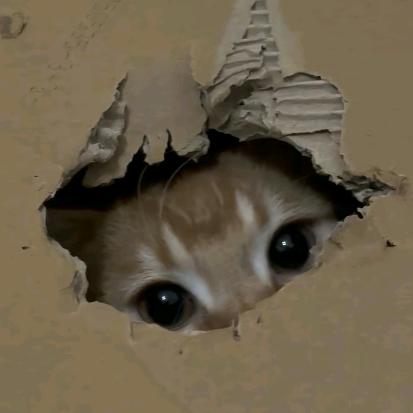 秋达