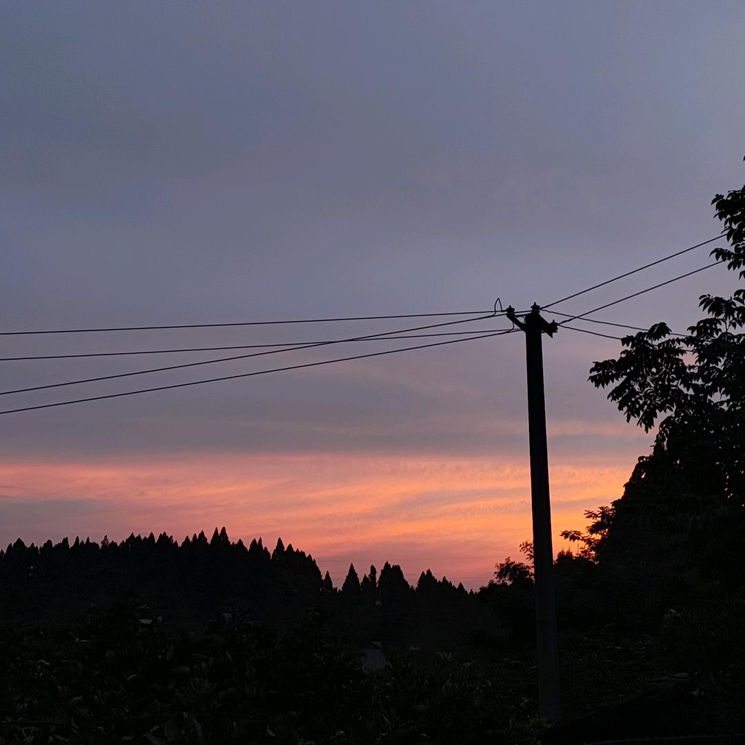 桃熙