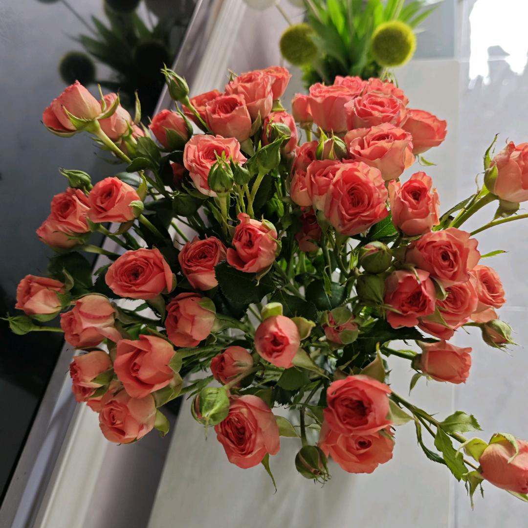 不忘初心～㞮孞～