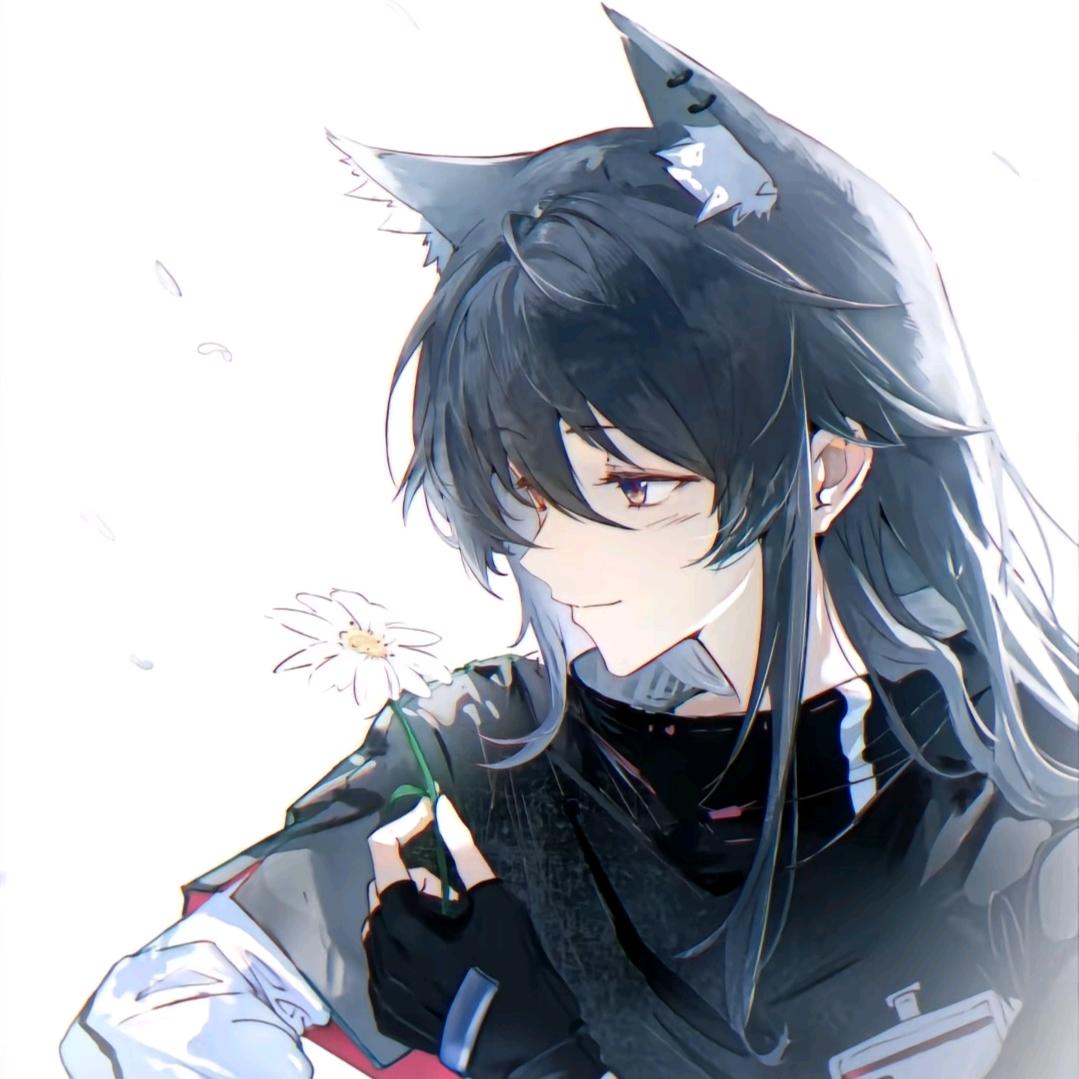 陨星晚遇